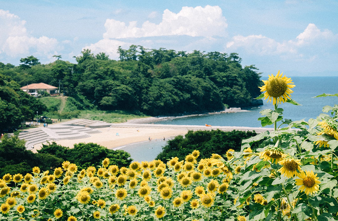大分県風土記 風土記の丘』宇佐・豊後高田(大分県)の旅行記・ブログ by 気まぐれな