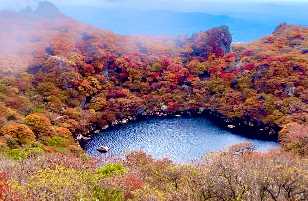大分県の“温泉じゃない”観光地の絶景スポットBEST3【#マイエディット大分】 | edit Oita エディット大分