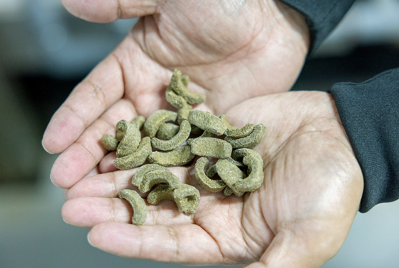 薄緑で小さなスナック菓子のような見た目のウニ専用飼料