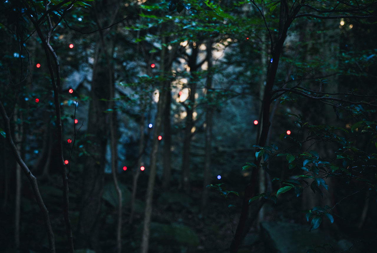 森の木々の間から赤と青のLED光が見える
