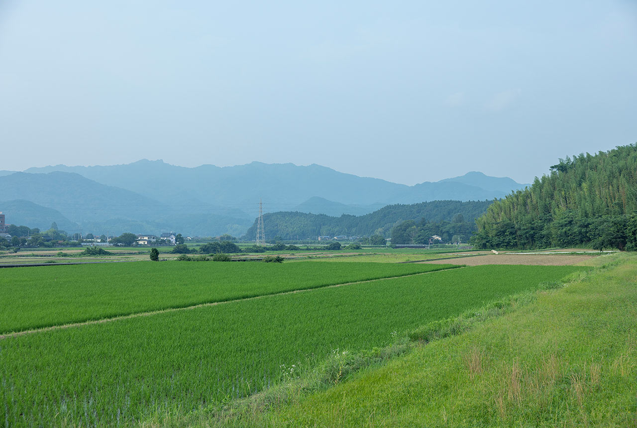 山香町の田んぼが広がる景色