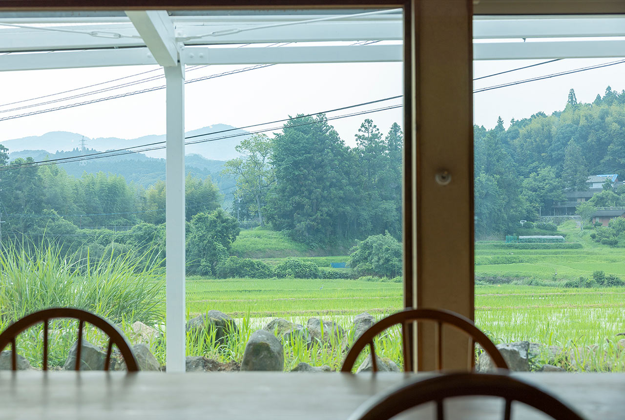 大きな全面窓の先に広がる田んぼの風景