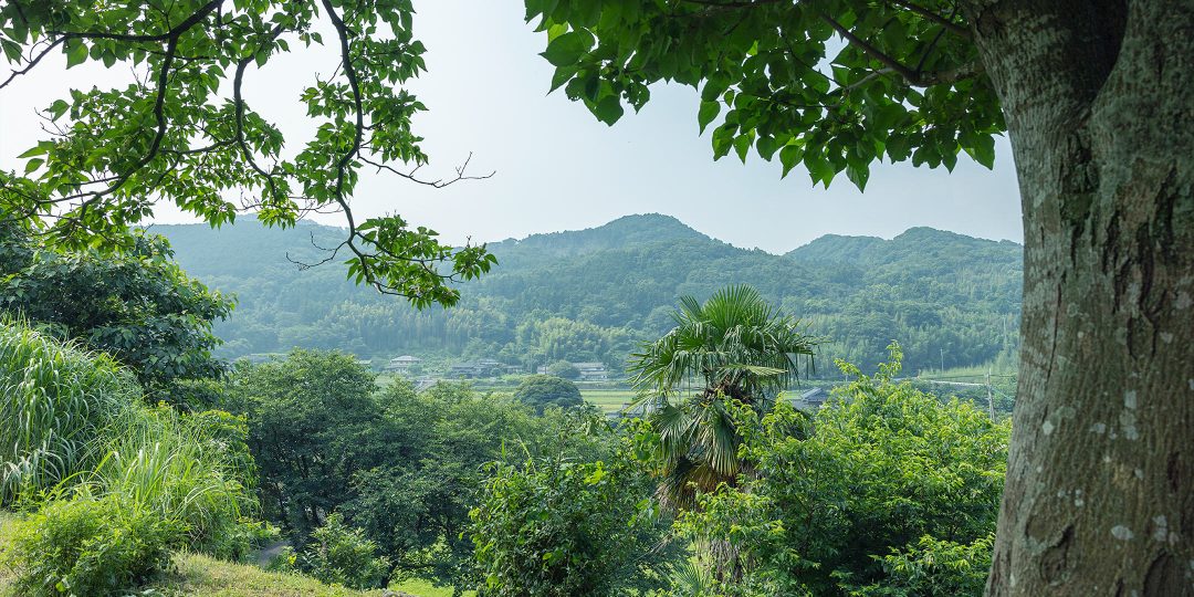 山々が広がるSUIGEN農園からの眺め