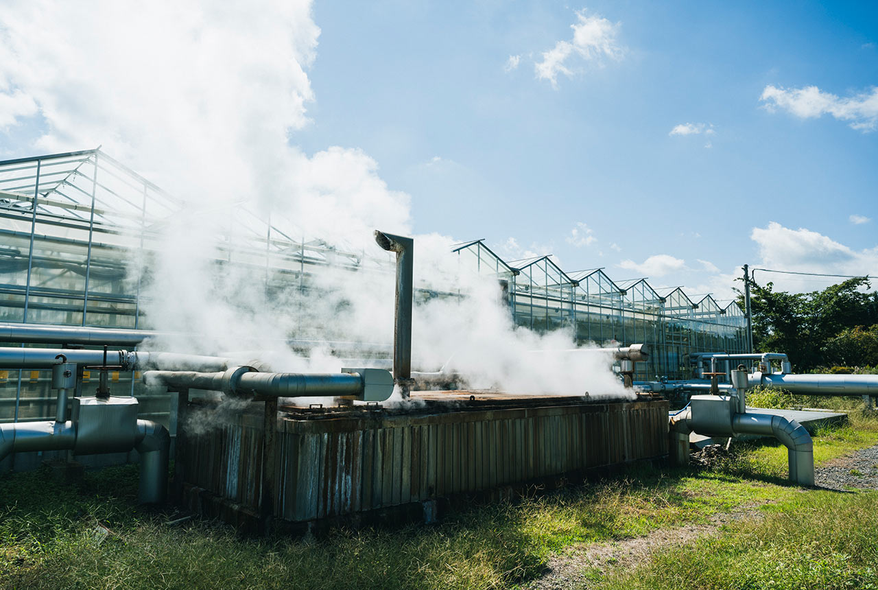 ハウスのすぐ横で立ち昇る温泉水の蒸気