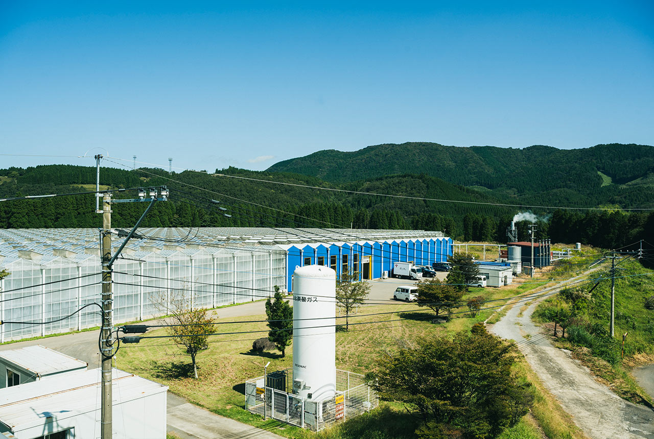 敷地内に設けられた地熱発電所