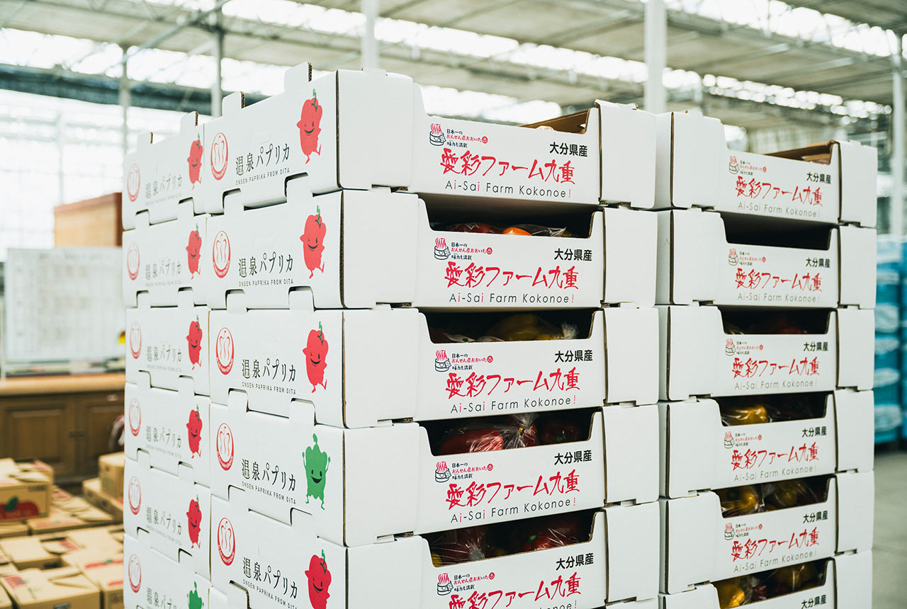 パプリカの出荷箱が高く積まれている