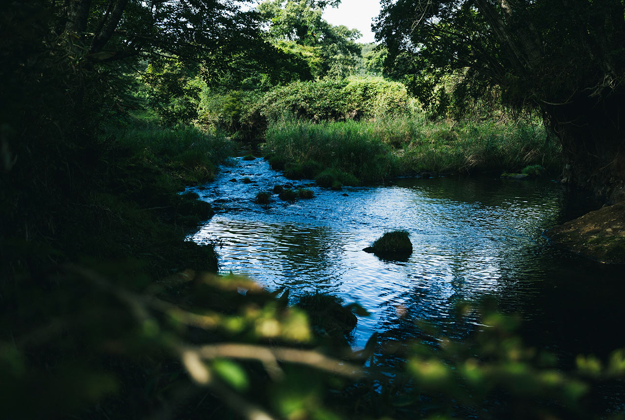 敷地内を流れる筑後川の源流
