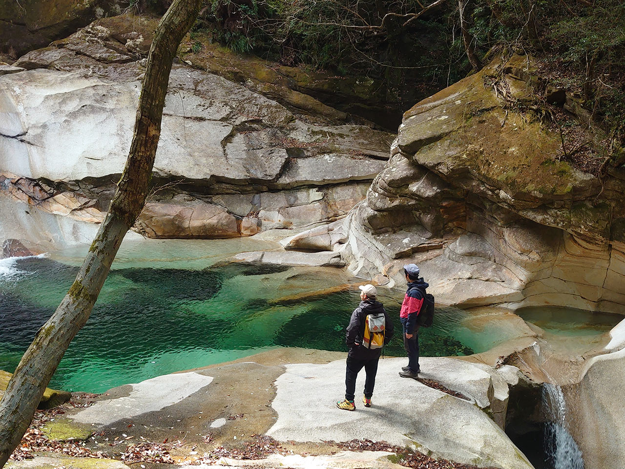 藤河内渓谷を散策する様子