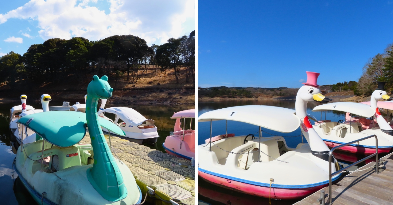白鳥ボートと恐竜ボート