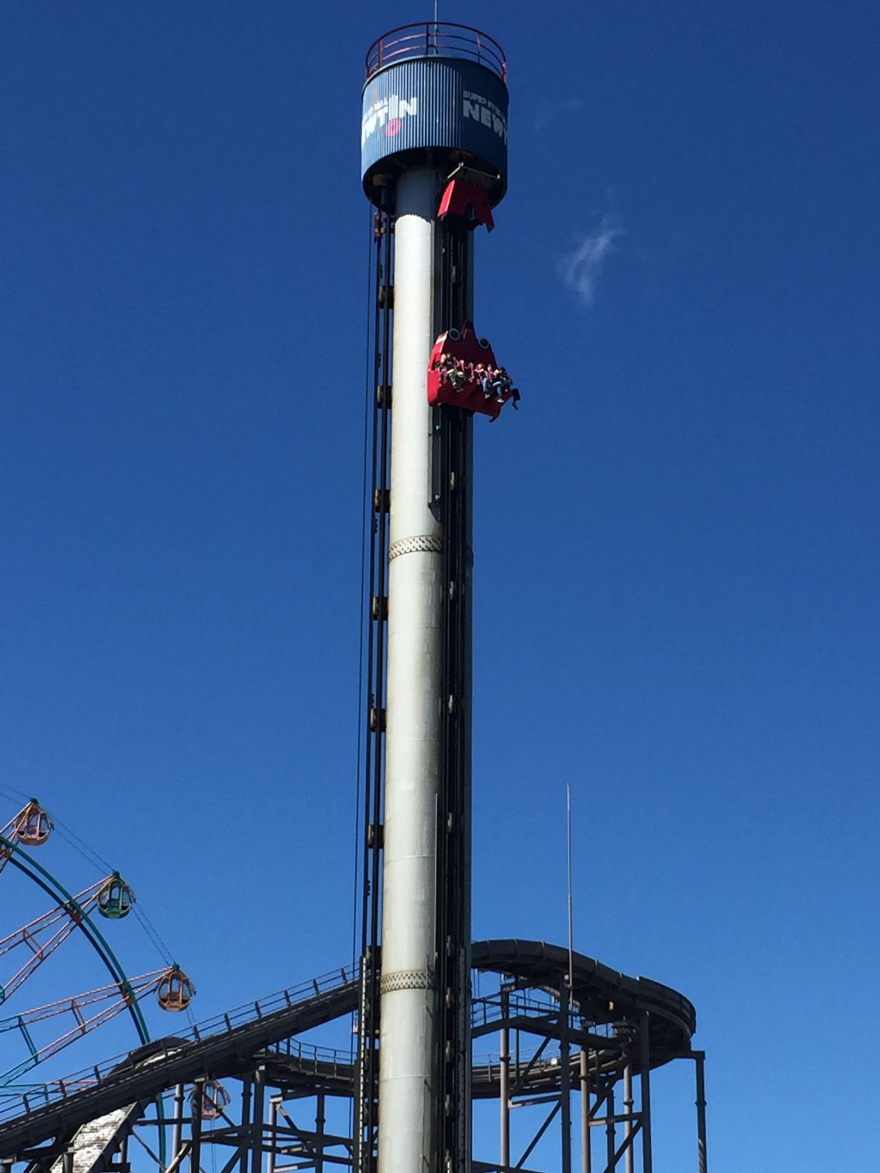 雨の日でもOKのニュートン。