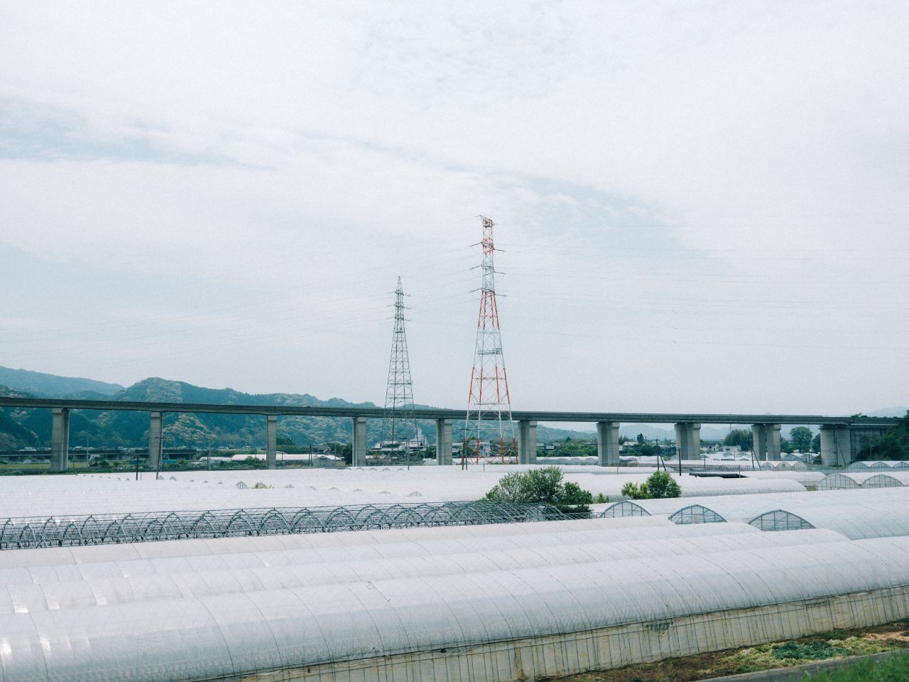 大分の村上農園