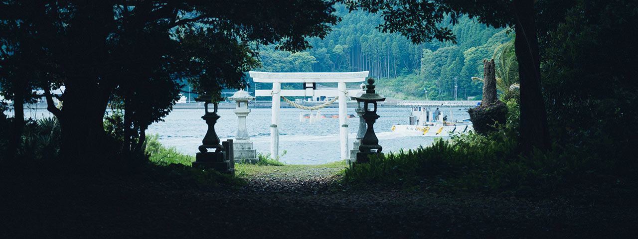 江武戸神社の白い鳥居