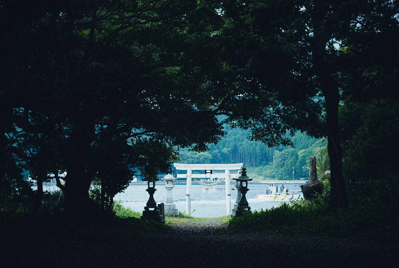 木々の間から海に面した白い鳥居が見えている