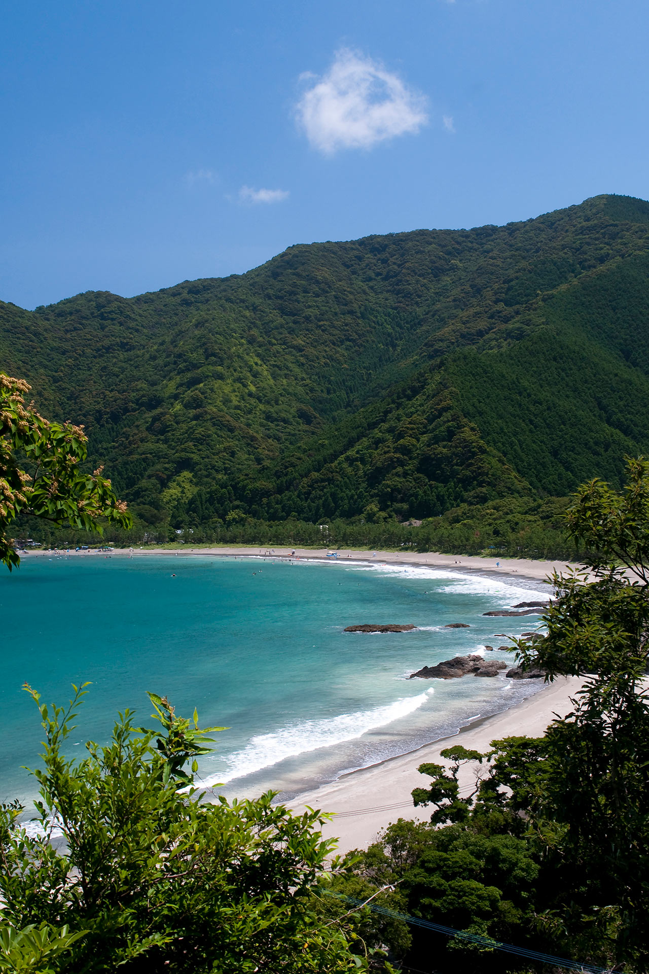 エメラルドグリーンの海と松が広がる波当津海岸
