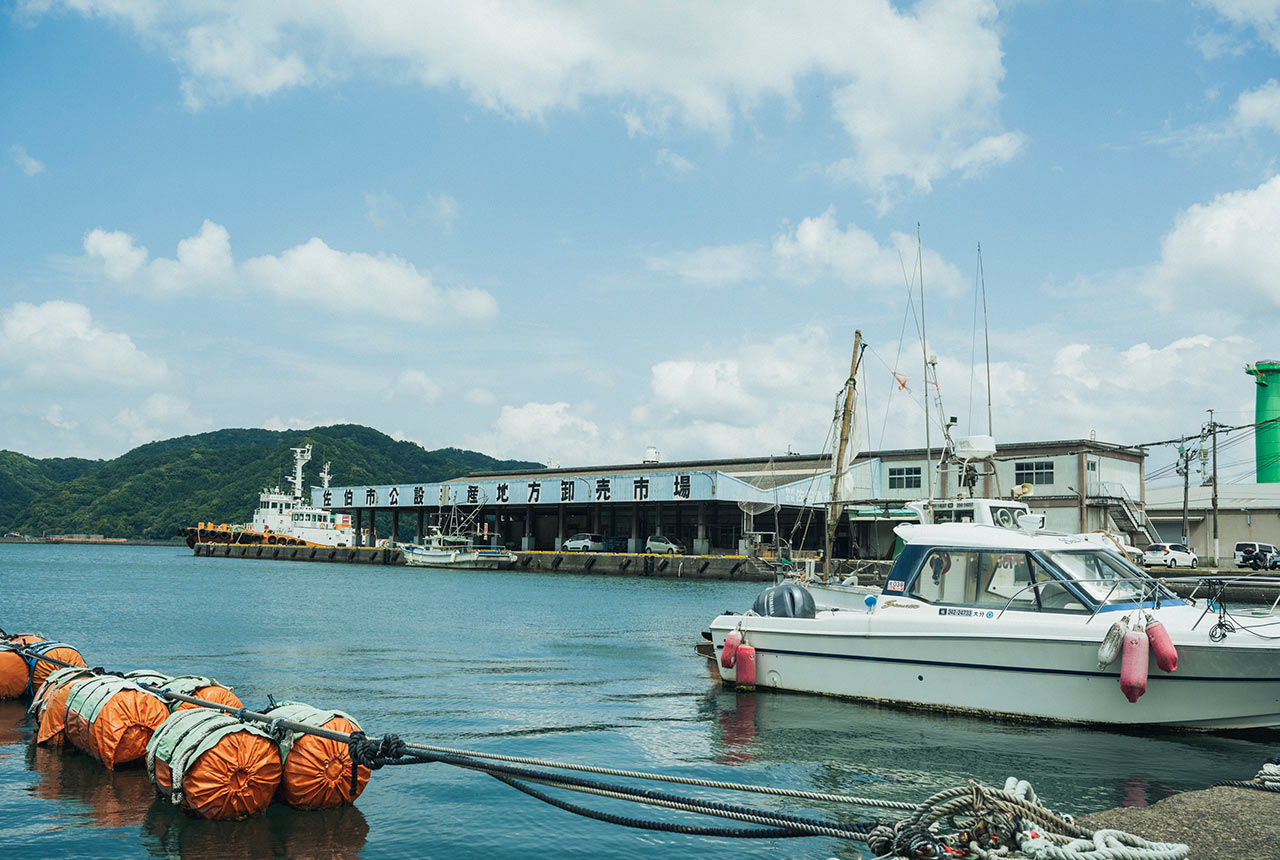 海に面した佐伯市公設水産地方卸売市場の外観