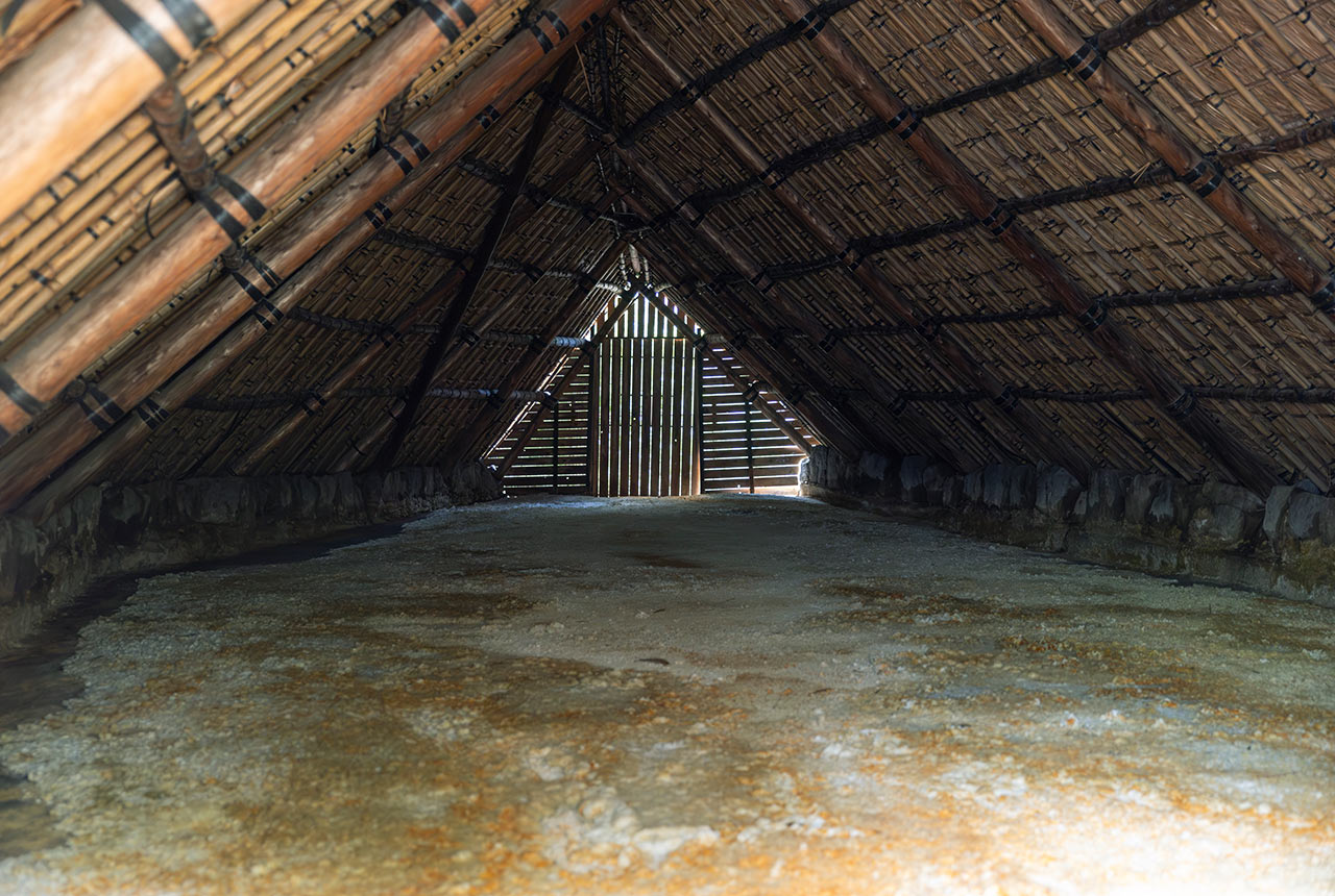 湯の花が一面にできている小屋の内部