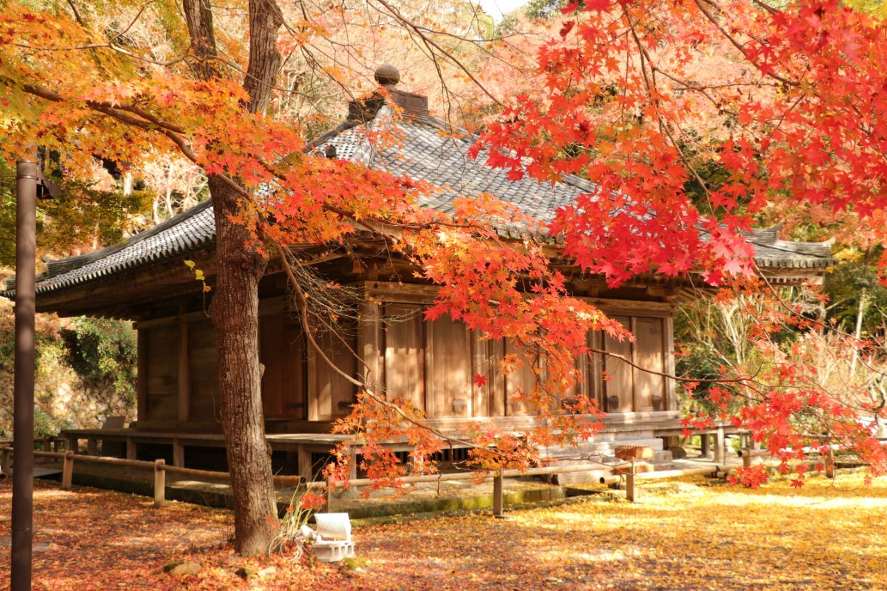 富貴寺の紅葉