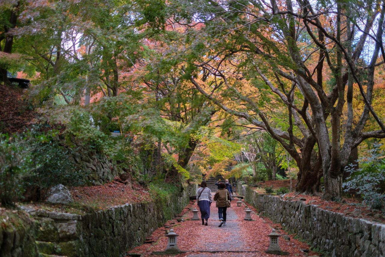 両子寺の境内