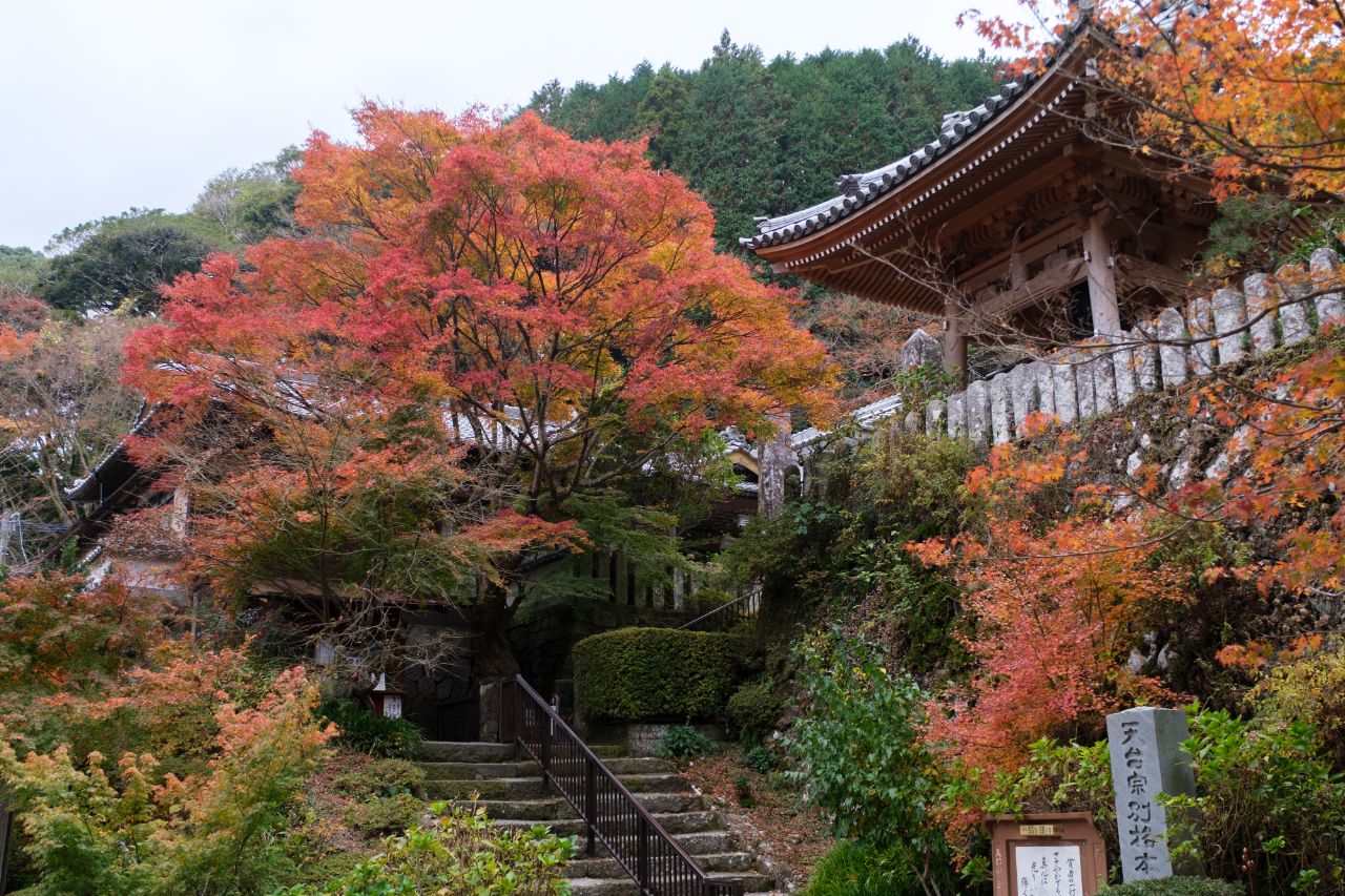両子寺