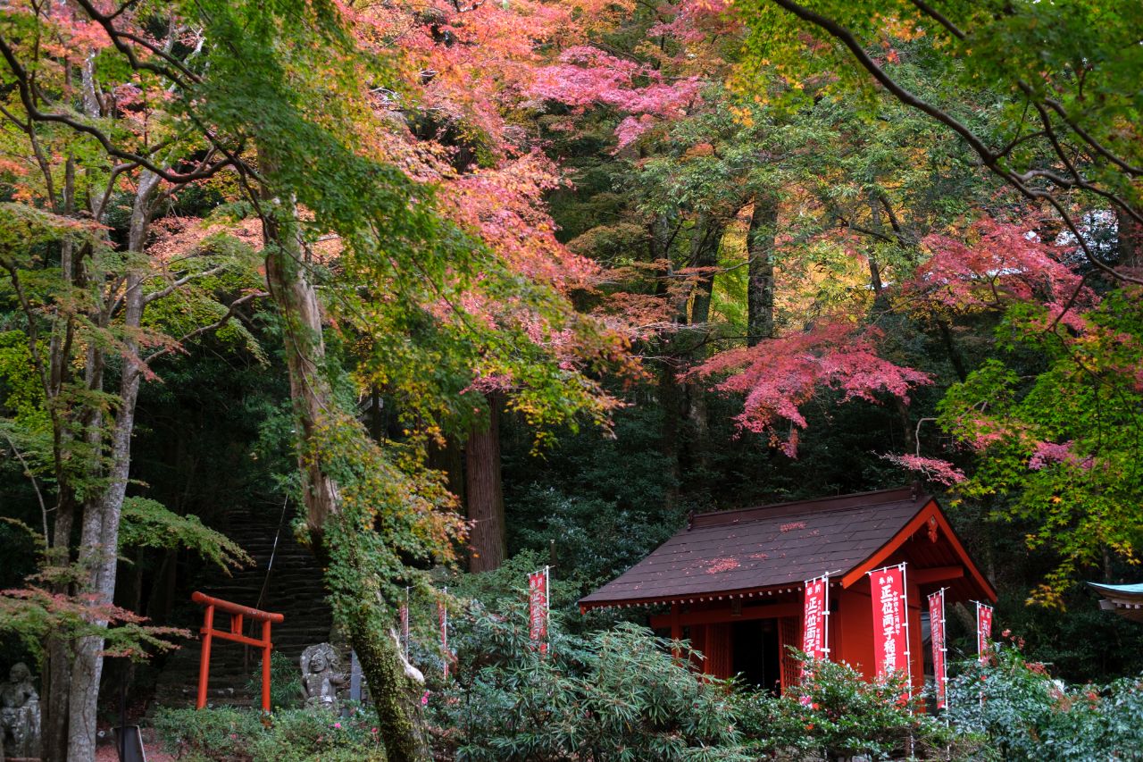 両子寺
