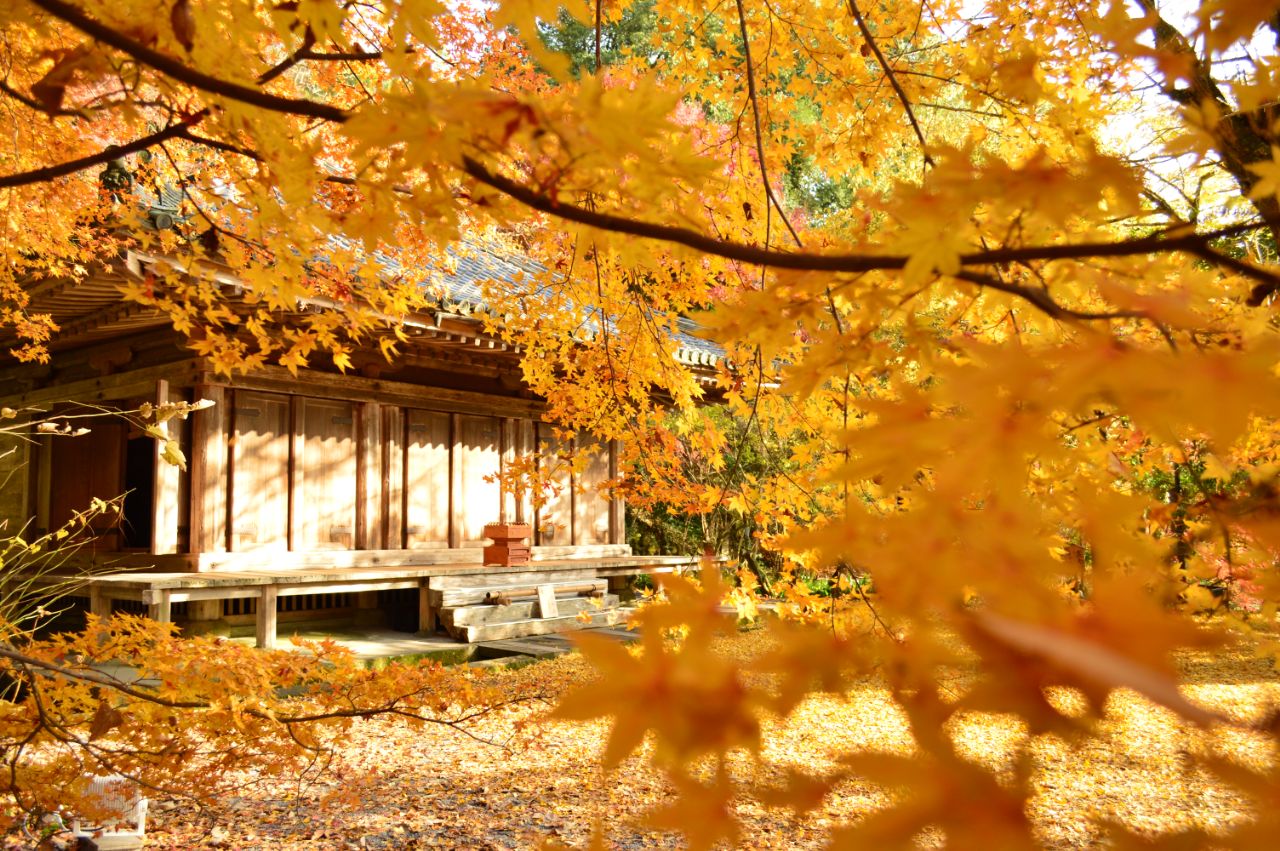 富貴寺の紅葉