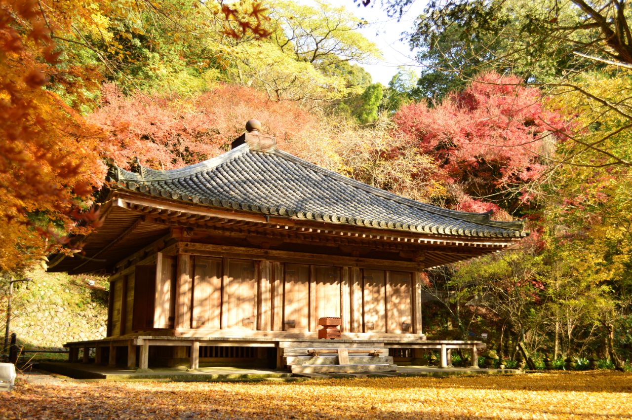国宝・富貴寺大堂の紅葉