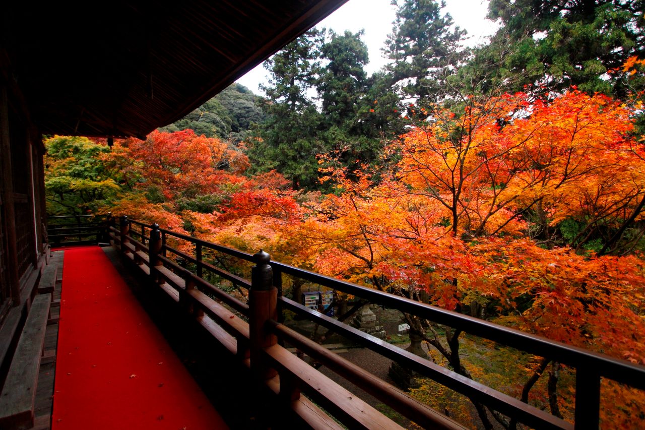 両子寺の護摩堂からの紅葉